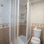 Palmeras 80 Menyber Нерха