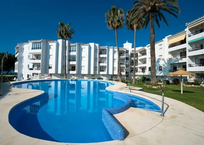 Palmeras 80 Menyber *