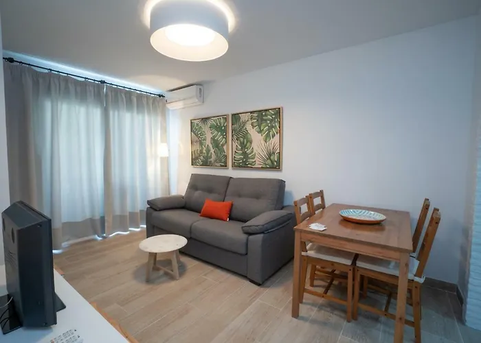 Palmeras 80 Menyber *