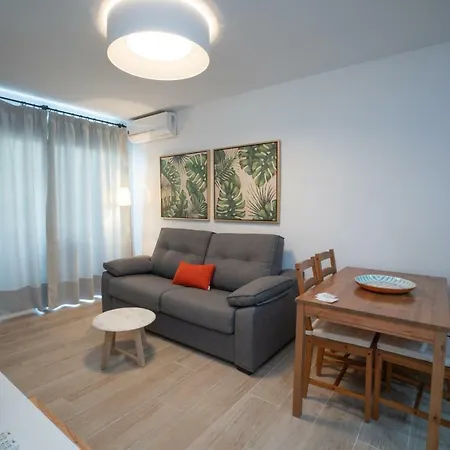 Palmeras 80 Menyber *